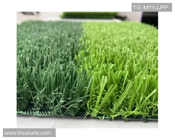 足球草坪破坏现象分析及其对比赛质量和环境的影响探讨